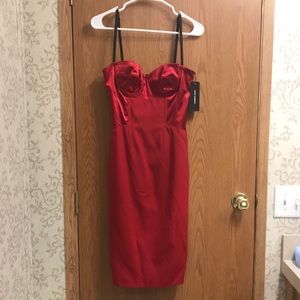 Final price! NWT Dolce and Gabbana red bustier dress ASO Anne Hathaway
